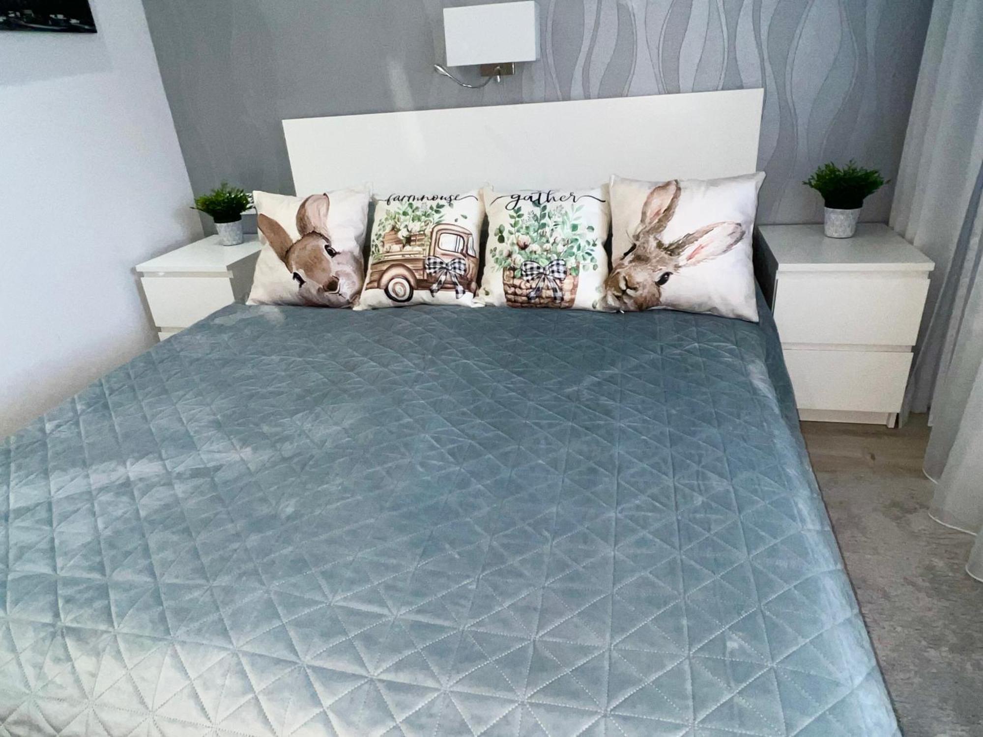 Downtown Dream Apartmans Szeged Eksteriør billede